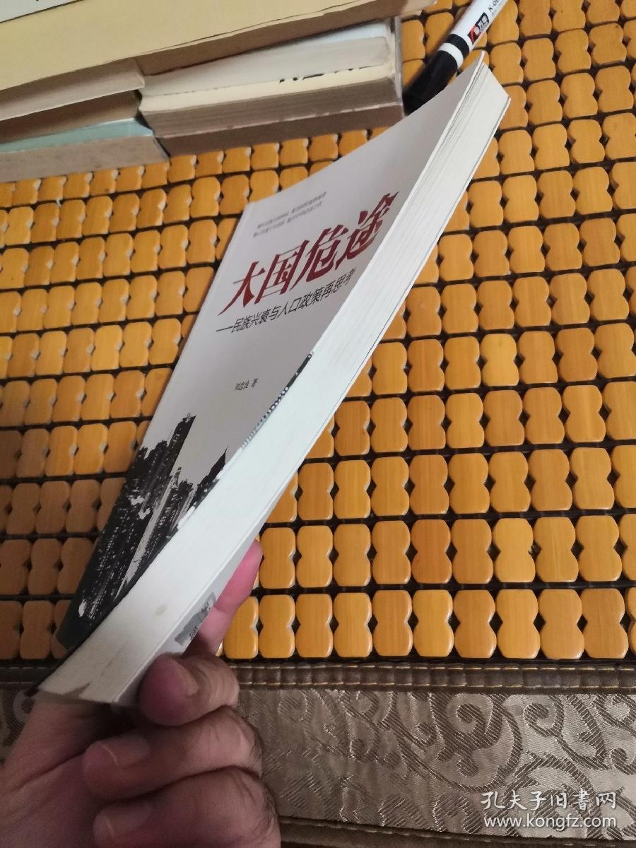 大国危途:民族兴衰与人口政策再思考_刘忠良_孔夫子旧书网