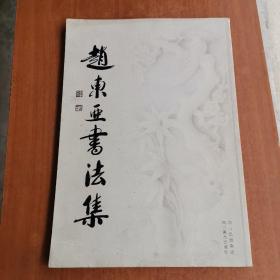 赵东亚书法集(签名夲)