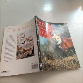 WildlifePaintingStepbyStep