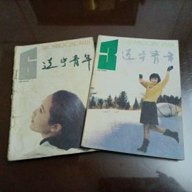 老杂志：辽宁青年（1993年第3、6期）【另有其它年份出让，欢迎选购】
