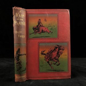 A Waif of the Plains. 1890年，布勒特·哈特《草原流浪儿》，数十幅精美插图，漆布精装，微毛边本