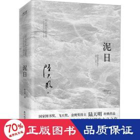 泥日（知名作家陆天明魔幻现实主义突破之作，西北荒原的壮丽家族史诗，他们从未年轻过，也只想活得好一点）