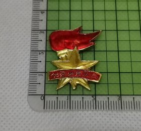 优秀少先队员 徽章  1个.017