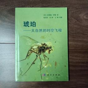 琥珀    大自然的时空飞梭