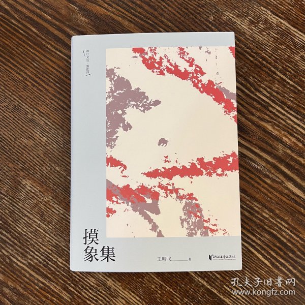 摸象集 【作者亲签版】 作者: 出版社: 浙江文艺出版社 出版时间: 2023-11 装帧: 平装