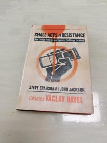 Small Acts of Resistance 精装32开