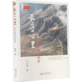 后一公里 阿布洛哈村的梦 历史、军事小说 林强 新华正版