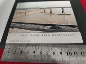 玉环盐场生产照片。三位盐工用盐耙。1988年，两张照片黏贴在一张黑色相纸上。背面是用铁锹铲盐，盐堆。大小尺寸见测量。2013年2月21日，经浙江省政府批准，省盐务局、省国土资源厅联合发文批准，同意废除玉环盐场盐田。这是玉环最后的一片盐田，玉环从此结束了辉煌的千年产盐历史，世代盐民“直将煮海作耕田”终成往事。浙江台州玉环老照片！