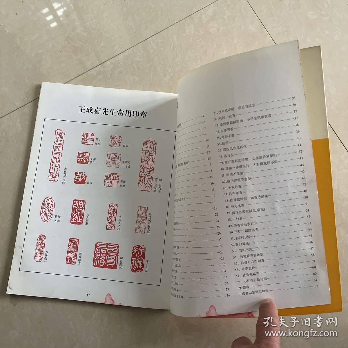 王成喜画梅续集