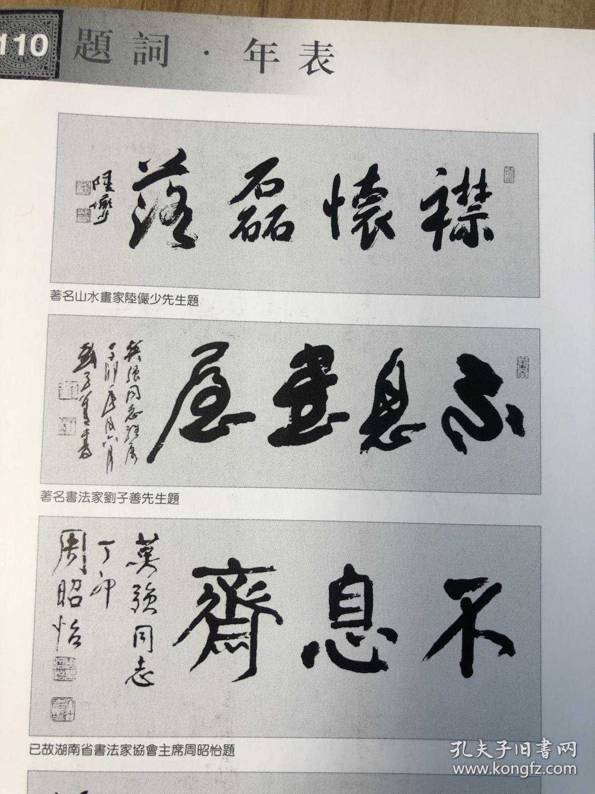 童英强书法作品集有沈鹏周慧珺韩天衡胡问遂胡铁生周昭怡张海等人作品