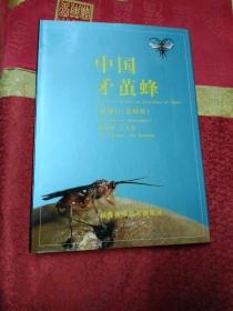 中国矛茧蜂:膜翅目：茧蜂科