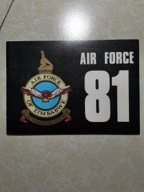 AIR FORCE 81