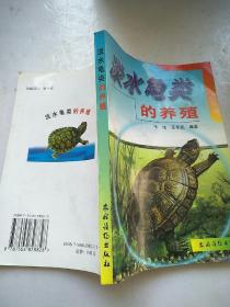 淡水龟类的养殖