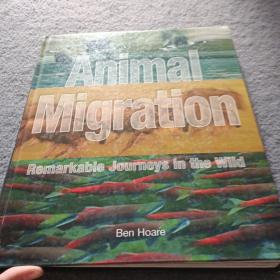 ANIMAL MIGRATION 书有破损 不影响内容