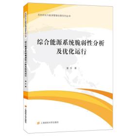 全新正版 综合能源系统脆弱性分析及优化运行 潘华 9787564238483 上海财经大学出版社