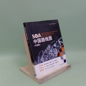 SOA中国路线图实施版