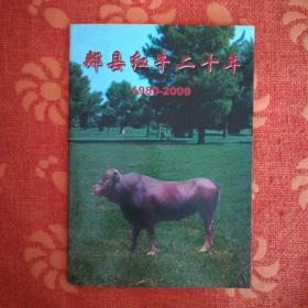 郏县红牛二十年 1980一2000
