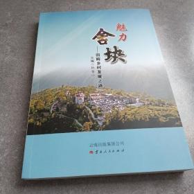 魅力舍块 回眸乡村发展之路*