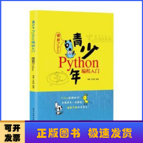 青少年Python编程入门——图解Python