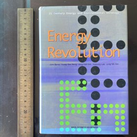 Energy revolution history strategy 能源革命 英文原版精装