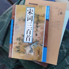 元曲三百首诗词曲赋集 扉页有章