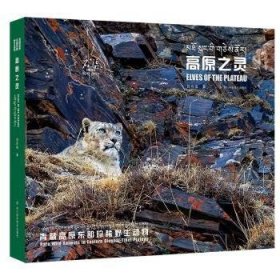 高原之灵:青藏高原东部珍稀野生动物:rare wild animals on the eastern Qinghai-Tibet plateau