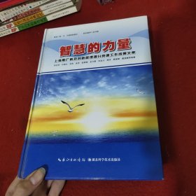 智慧的力量 : 上海船厂科技创新管理提升党建工作 成果文集