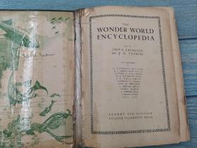 the wonder world encyclopedia  奇迹世界百科全书