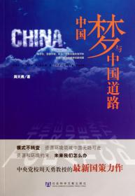 全新正版 中国梦与中国道路 周天勇 9787509722862 社科文献