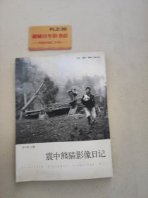 震中熊猫影像日记