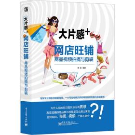大片感+李倪 编著电子工业出版社