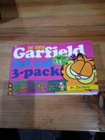Garfield: Fat Cat 3-Pack: Vol. 10 加菲猫10
