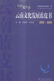 2012~2013云南文化发展蓝皮书