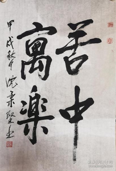 沈柔坚 笔意 严金火书写 苦中作乐68 45cm