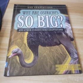 SO BIG?
AND OTHER CURIOUS BIRD ADAPTATIONS