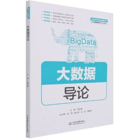 大数据导论(普通高等教育数据科学与大数据技术专业教材)