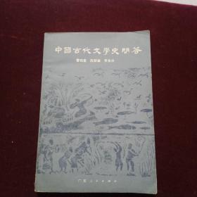 中国古代文学史问题