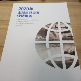 2020年全球自然灾害评估报告