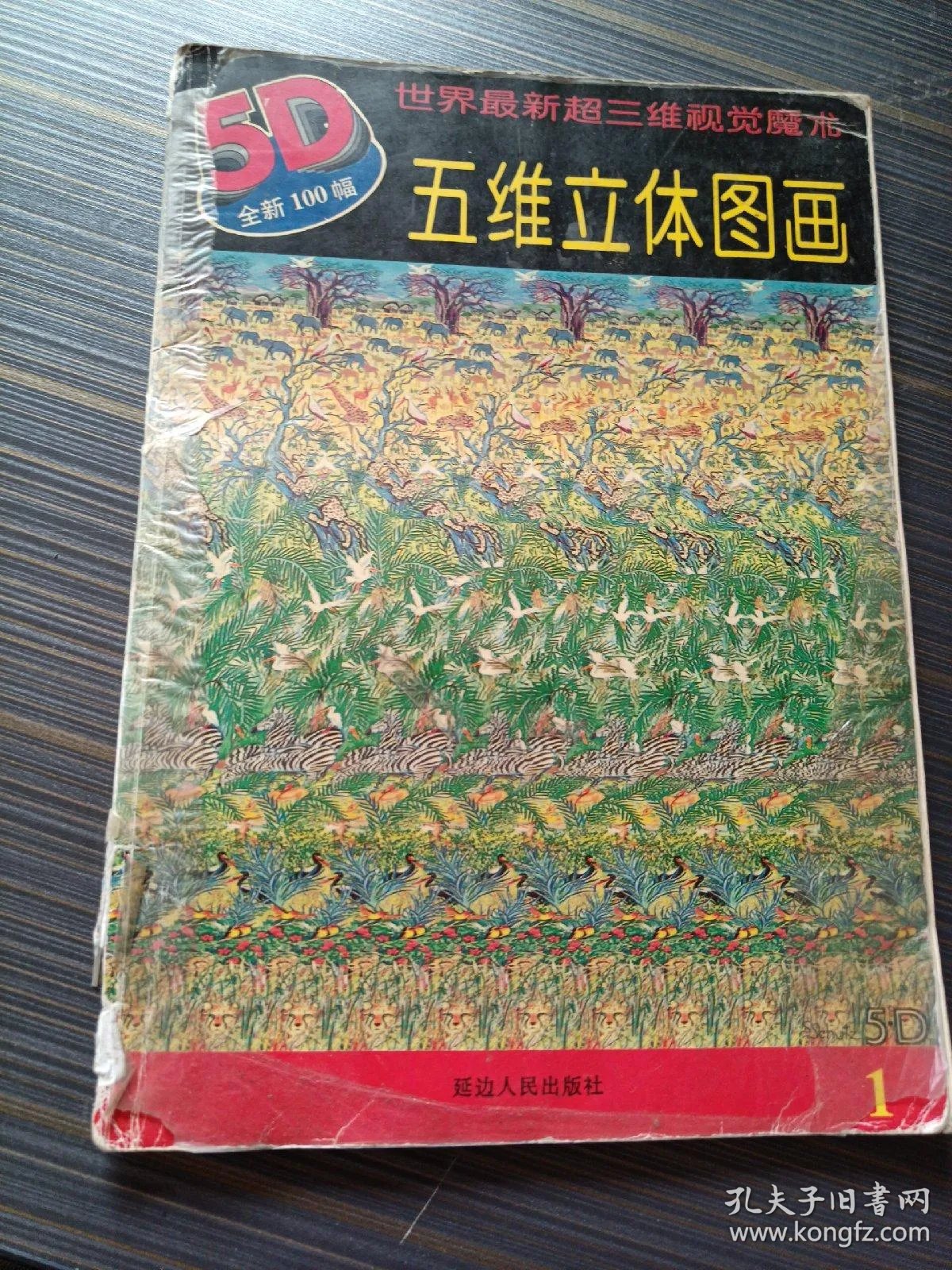 五维立体图画