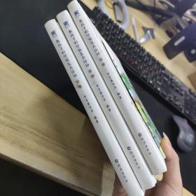 教孩子唱学最美古诗词 常青藤爸爸带你唱读古诗词 经典咏流传（套装共3册）