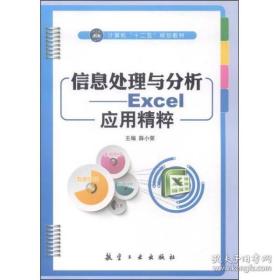 信息处理与分析:Excel应用精粹 9787516506752