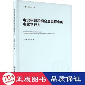 电沉积铜和过程中的电化学行为 化工技术 丁莉峰,牛宇岚 新华正版