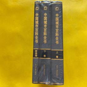 中国城市百科全书（上下+附录卷）全三卷 全新未拆包装