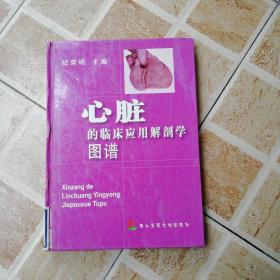 心脏的临床应用解剖学图谱