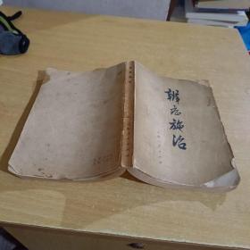 辨症施治