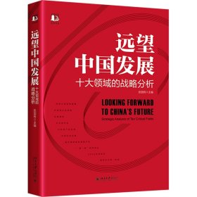 远望中国发展 十大领域的战略分析 9787301333662 张国有 北京大学出版社