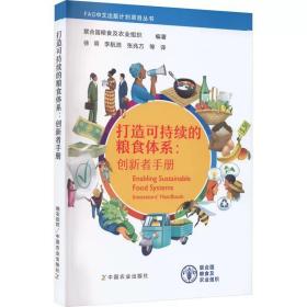 打造可持续的粮食体系:创新者手册 中国农业出版社