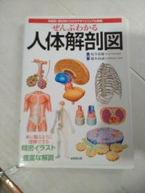 人体解剖图(日文原版.彩色版.16开