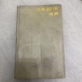 汉语新词词典