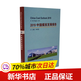 保正版！2019中国煤炭发展报告9787502073633应急管理出版社贺佑国
